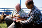 Two men examining FAMACHA tool