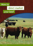 Cover page of the book about marketing beef featuring a picture of cows in a pasture looking directly at the camera
