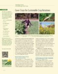 Cover Page of Cover Crops for Sustainable Crop Rotations