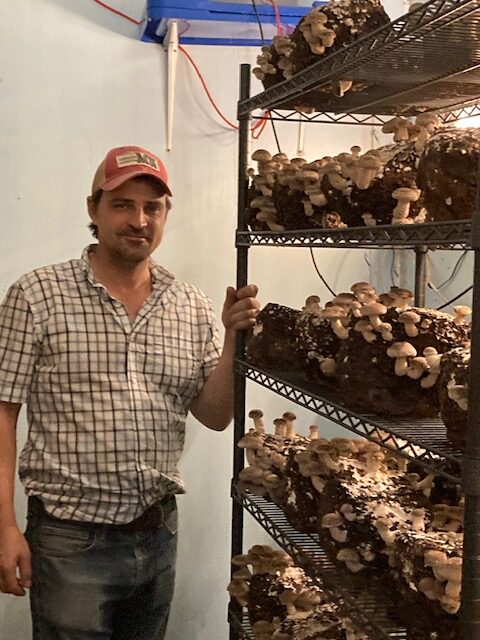 Farmer David Wells and shiitake mushrooms