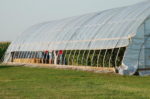 High Tunnel