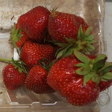 Big red strawberries in a container