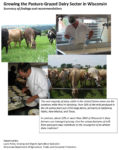 Cover image of dairy grazing publication