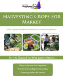 guide on harvesting crop for market