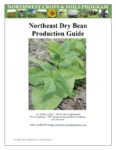Cover of Northeast Dry Bean Production Guide