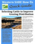 Cover to Selecting Cattle to Improve Grazing Distribution