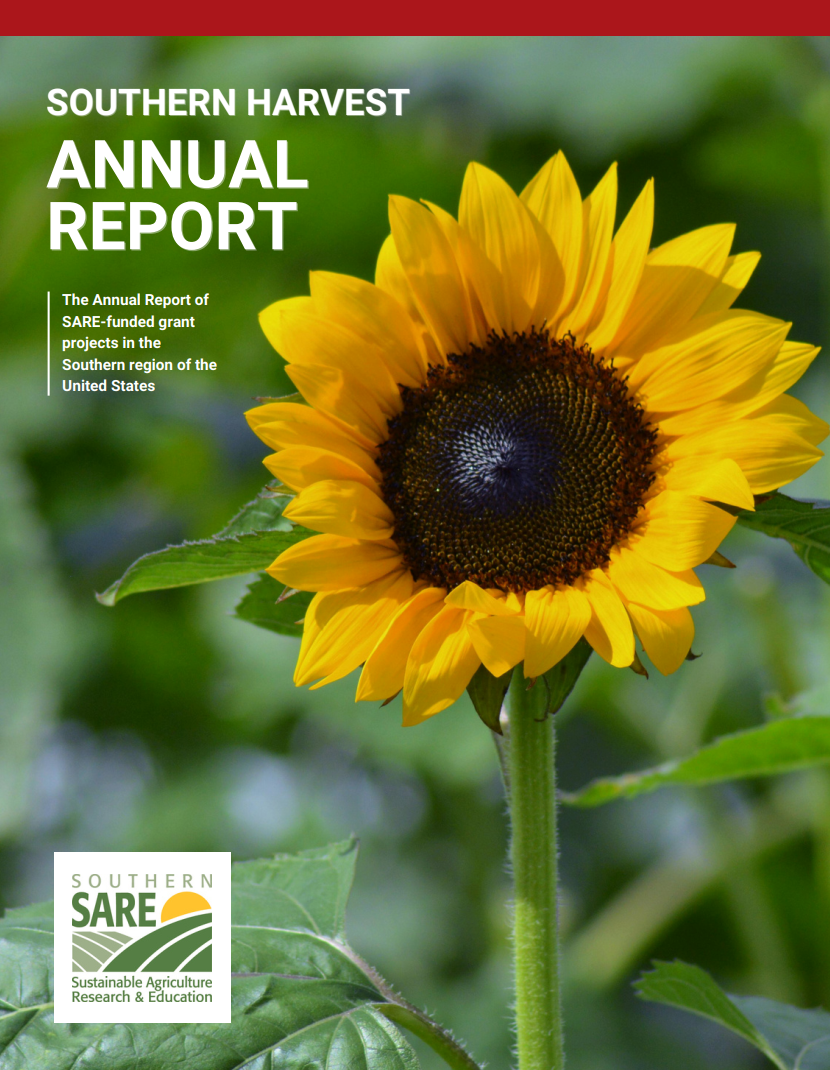 2026 annual report cover