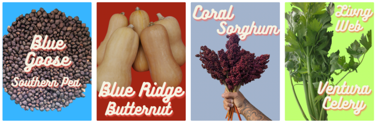 Seed-Shop-Screenshot