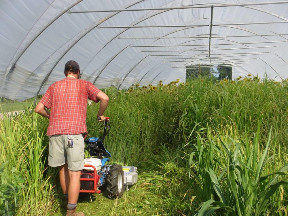 Cover crop termination using mowing equipment in spring preparation for planting