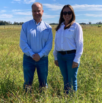 Florida researchers standing in a field of limpograss
