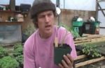 Cover of a youtube video with a man talking about a potted plant, holding it up