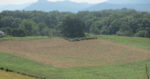 Crop field from a high perspective with trees and mountains in the background