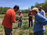 cover crop training